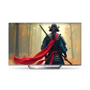 تلویزیون ال ای دی 55 اینچ ایوا مدل 55C4H-QLED-4K-GRAY-SMART