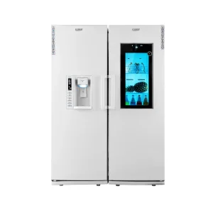 یخچال فریزر دوقلو 21 فوت یخساز اتومات کلمنت مدل DF/DR2165-4005