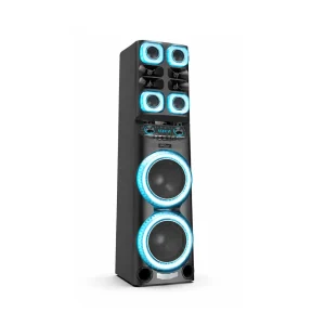 اسپیکر 1 تکه 12*2 ارگون مدل Ar-Black-T1210-DSP